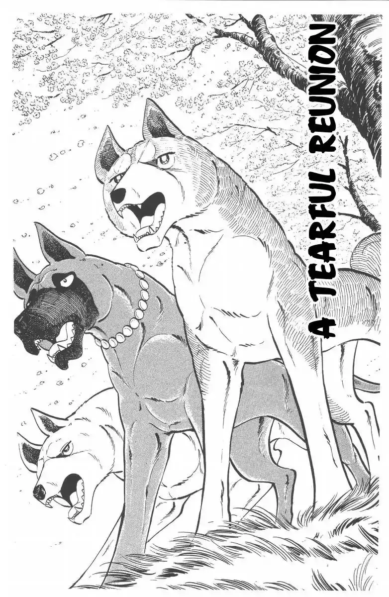 Ginga Nagareboshi Gin Chapter 55 1